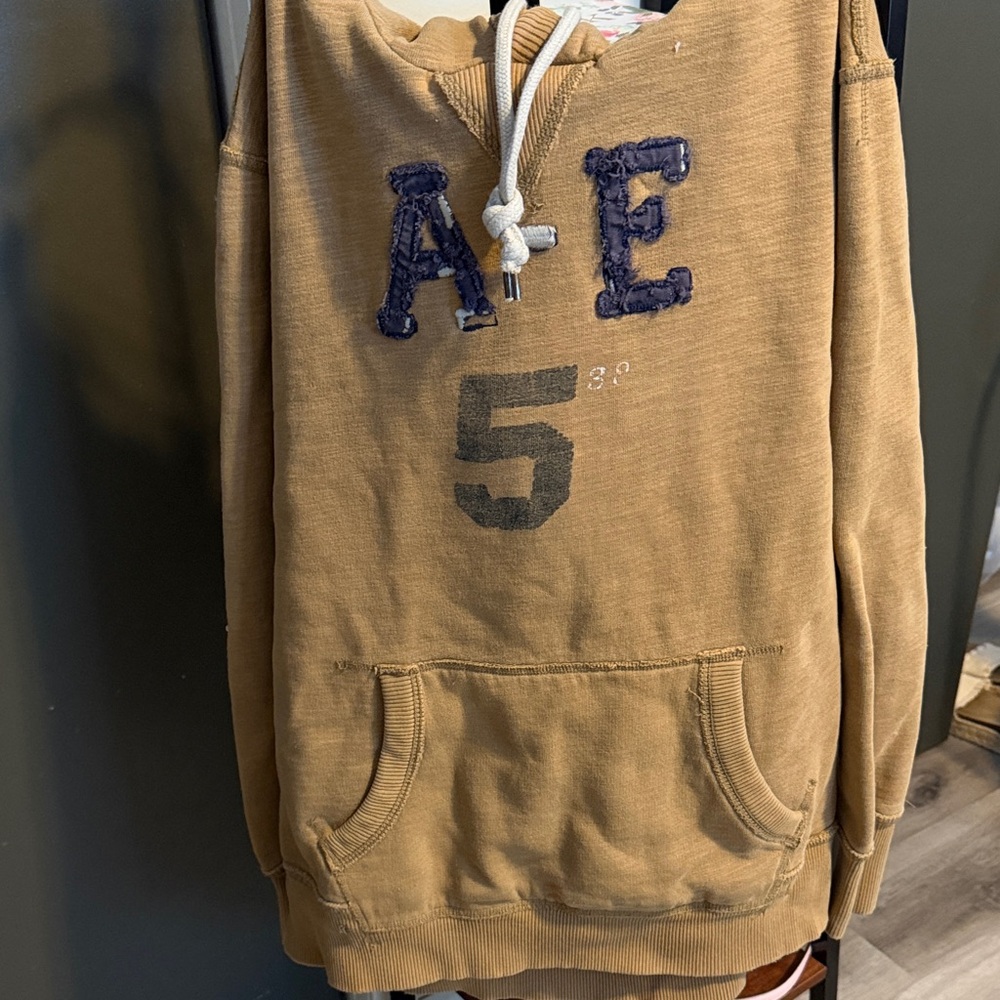 American Eagle Outfitters Men's Brown Hoodie Sweater
